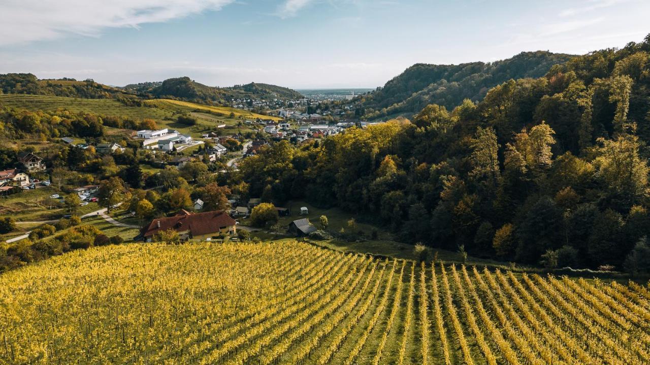 Luxury Vineyard Resort Chateau Ramsak Maribor Eksteriør bilde